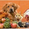 Morehead Veterinary Clinic