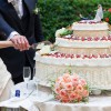 Professional Wedding Group