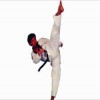 Professional Taekwondo Center