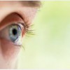 Ocala Eye Doctor