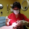 Dr Donna Palmisano