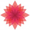 Soul Shine Yoga