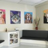 Ark Animal Hospital