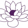 Trailside Yoga & Beyond