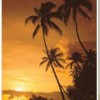 Yunique International Travel Service