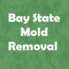 Bay State Mold Removal