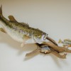 Upper Miss Wildlife Artsitry