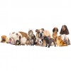 Happy Pets Sitting Services