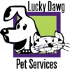 Lucky Dawg Mobile Grooming