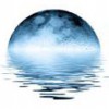 Blue Moon Yoga & Fitness