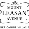 Mount Pleasant Avenue Premier Canine Villas