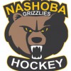 Nashoba Youth Hockey Association