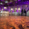 Davaine Lighting