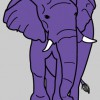 Purple Elephant Apparel