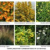 Actual Art Landscape Design