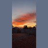 Desert Scape