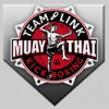 Team Link Muay Thai