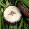 Gili Mor Diamonds