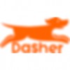 Dasher Pet Care