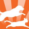 Country Pet Naturals