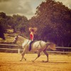 Doringcourt Stables