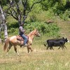 Reese Creek Ranch