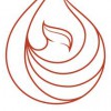 FireSkye