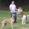Executive Pet Services