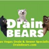 Drain Bears