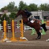 River Bend Stables