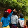 Discovery Preschool At LAUCC