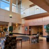 D B Physical Therapy