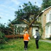 A1 Stump Removal