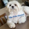 Fritz Kennel