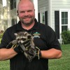 AAAC Wildlife Removal Of Madison
