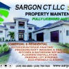 Sargon CT