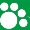 Iams