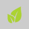 Briella's Landscaping