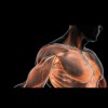 Pain Management Massage By Amber