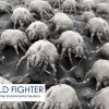 Mold Fighter