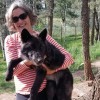 Colorado Wolf & Wildlife Center