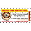 Beaver Tree Services