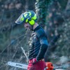 Pure Tree Care
