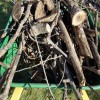 Hercules Tree Service
