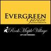 Evergreen Rock Maple