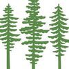Redwood Grove Wealth Management