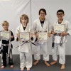 Way Of Jiu Jitsu Stanley