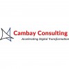 Cambay Consulting Service LL