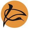 Soaring Crane Massage & Acupuncture