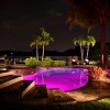 Backyard Lagoons